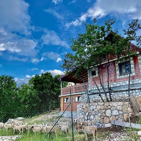 Mountain Village House Cetinje Exterior photo