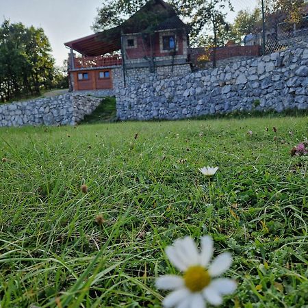 Mountain Village House Cetinje Exterior photo