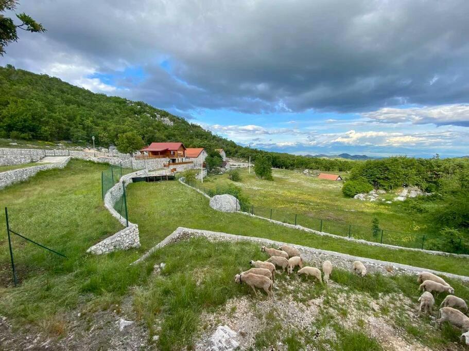 Mountain Village House Cetinje Exterior photo